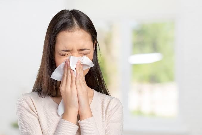 Household-Allergens